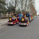 Electric Train Manufacturer - OEM Custom Track Design