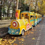 Electric Train Manufacturer - OEM Custom Track Design