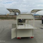 Fast Food Tricycle Supplier - OEM Custom Three Wheel