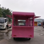 Electric Food Truck Manufacturer - OEM Custom Mall Event