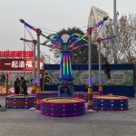 Merry-go-round Supplier - OEM Custom Electric Carousel