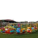 Roller Coaster Manufacturer - OEM Custom Mall Using