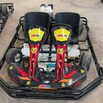 Gas Go Kart Manufacturer - OEM Custom Engine Type