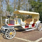 Horseless Carriage Supplier - OEM Custom Christmas Light
