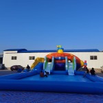 Mini Ferris Wheel Supplier - OEM Custom Portable Ride