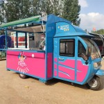 Sightseeing Train Manufacturer - OEM Custom Tourist Transport