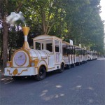 Electric Track Train Factory - OEM Custom Rail Design