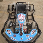Gas Go Kart Manufacturer - OEM Custom Engine Type