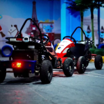 Go Kart Supplier - OEM Custom Amusement Machine