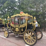 Sightseeing Carriage Manufacturer - OEM Custom Mobile Design