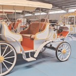 Wedding Carriage Manufacturer - OEM Custom Sightseeing Cart