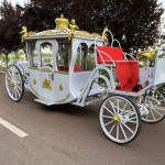 Marathon Carriage Factory - OEM Custom Low Price Design