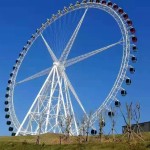 Worm Coaster Manufacturer - OEM Custom Backyard Design