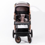 Twin Stroller Manufacturer - Lightweight Foldable Double Seat