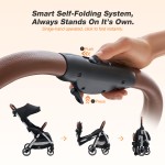 Twin Stroller Factory - Aluminum Frame Travel System