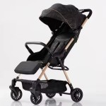 Baby Stroller Factory - Portable Multiple Foldable Wagon