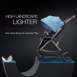 Baby Stroller Manufacturer - Brand New Lightweight Reversible