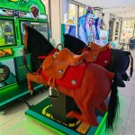 Arcade Game Machine Manufacturer - Horse Racing Indoor Amusement