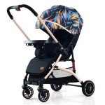 Baby Stroller Manufacturer - Lightweight Foldable Travel Pram