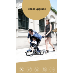 Kids Bike Factory - 3 Wheel Carbon Steel Tricycle