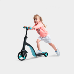 Kick Scooter Manufacturer - Multifunction 3 in 1 Scooter