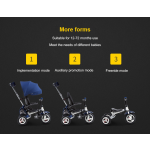 Kids Bike Factory - 3 Wheel Carbon Steel Tricycle