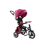 Tricycle Factory - 4 in 1 Foldable Canopy Trike