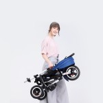 Tricycle Factory - 4 in 1 Foldable Canopy Trike