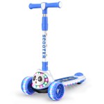 Kick Scooter Manufacturer - Safe Premium 3 Wheel Scooter