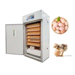 Egg Incubator Manufacturer - Professional Hatchery