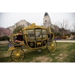 Horse Carriage Factory - Luxury Sightseeing Wagon