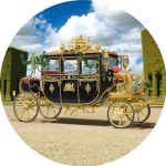 Horse Carriage Factory - Luxury Sightseeing Wagon