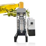 Industrial Juicer Manufacturer - High Capacity Extractor