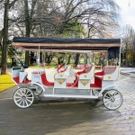 Wedding Carriage Manufacturer - Golden Horse Drawn Vehicle