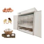 Automatic Incubator Manufacturer - 2000 Egg Capacity