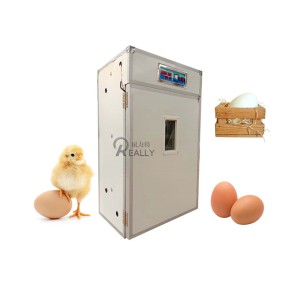 Chicken Incubator Factory - Large Sized Hatching Tray