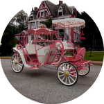 Wedding Carriage Factory - Pumpkin Princess Carriage