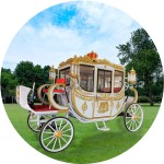 Electric Carriage Manufacturer - Vintage Golden Carriage