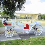 Horse Carriage Factory - Exclusive Cinderella Carriage