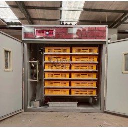 Box Washer Factory - Automatic Crate Washing Machine