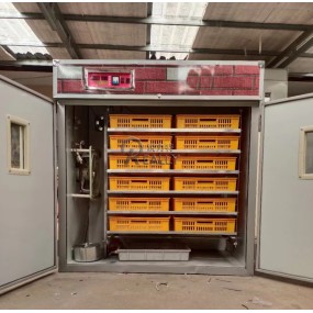 Box Washer Factory - Automatic Crate Washing Machine