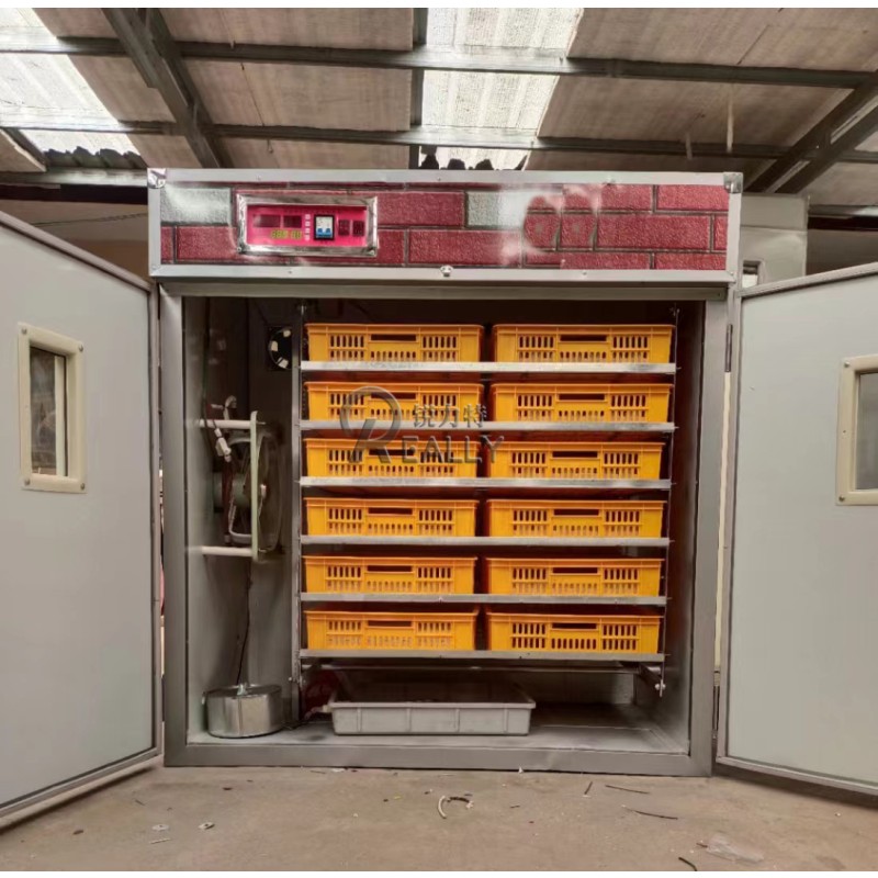 Box Washer Factory - Automatic Crate Washing Machine