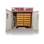 Egg Incubator Manufacturer - Professional Hatchery