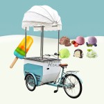Food Tricycle Manufacturer - Electric Popsicle Freezer Bike