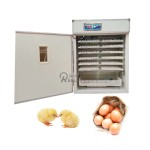 Chicken Incubator Factory - Large Sized Hatching Tray