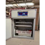 Chicken Incubator Factory - Large Sized Hatching Tray