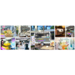 Mobile Food Van Manufacturer - Custom Kitchen BBQ Trailer