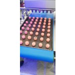 Cake Decorator Manufacturer - Round Cake Applicator