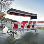 Wedding Carriage Manufacturer - Golden Horse Drawn Vehicle