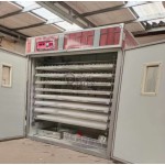 Commercial Incubator Factory - Turner Hatchery Machine